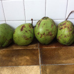 www.cozinhadamarcia.com.br