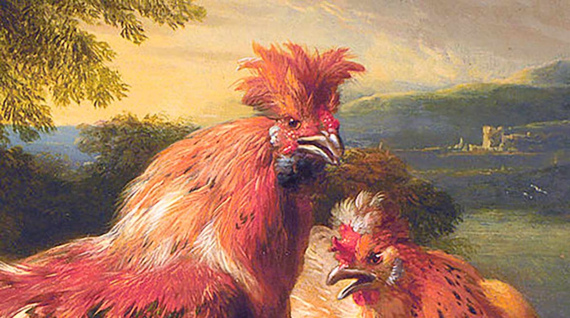 Fígado de frango. Foto: Pintura com licensa da Wikimedia Commons